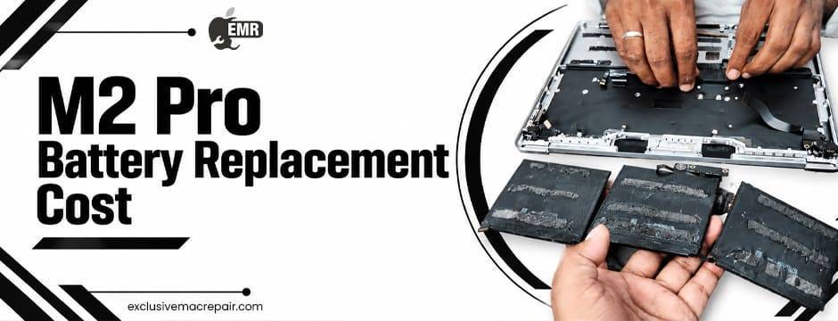 M2 Pro Battery Replacement Price